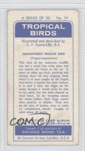 1961 Brooke Bond Tropical Birds Tea Magnificent Frigate Bird #34 0f8 - Picture 2 of 3