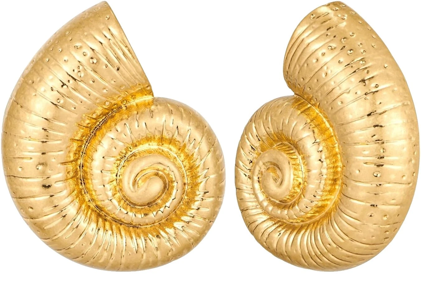 Shell Brass Stud Pendientes de Moda