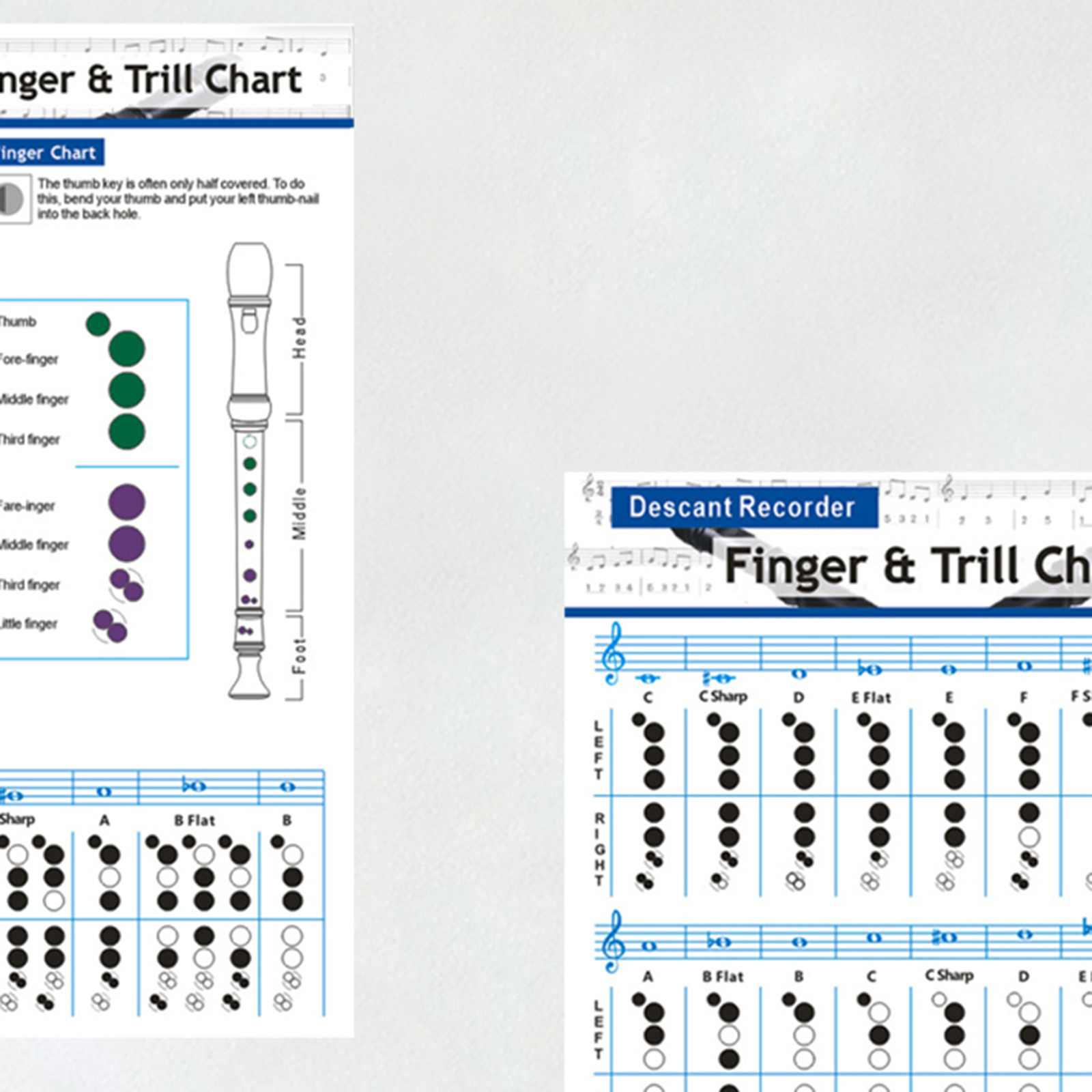 Fretboard Chart English Version Educational Simple Descant Recorder