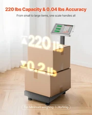 Computing Digital Platform Scale, 220 lbs Load, 0.04 lbs Accuracy, Electronic Fl