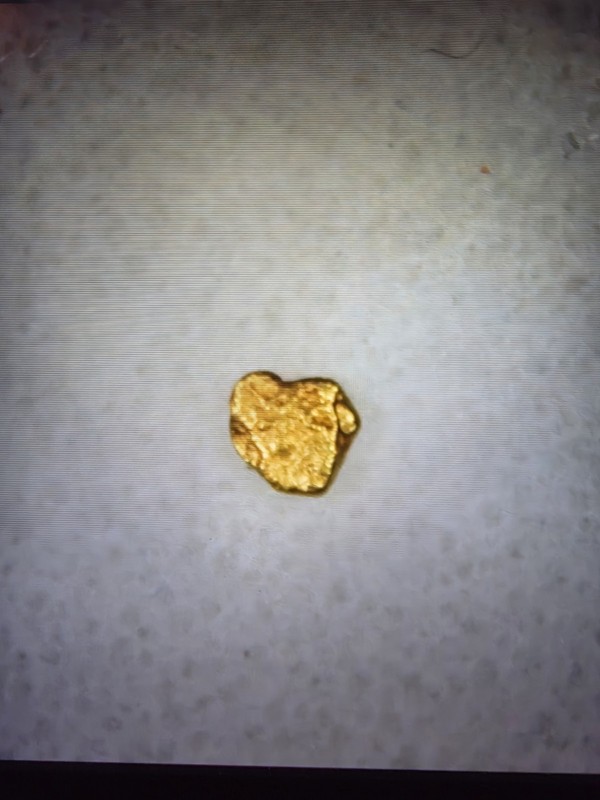 Pure Gold Nugget California Natural Small Gold Nugget .069 of a Gram, Beautiful!