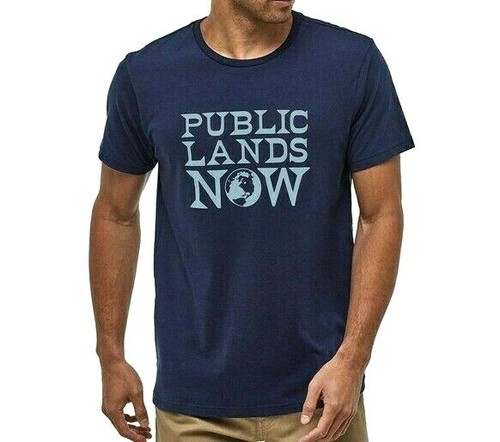 Organic Cotton T-Shirt, Slim Fit Size 