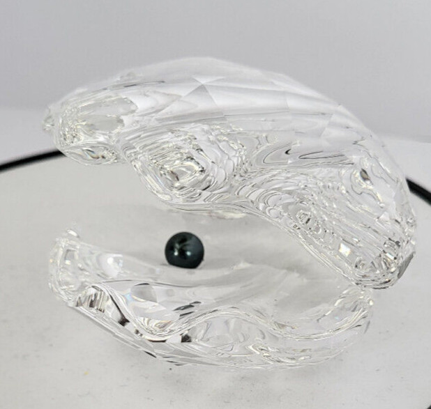 Swarovski Große Auster Mit Schwarzer Perle Clam Shell Black Pearl