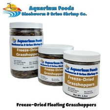 Grasshoppers- Freeze-Dried for Koi, Large Fish, Reptiles  Birds. JAR