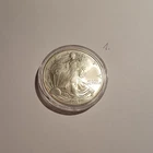 1oz Silver 999 American Silver Eagle 2007 $1 USD Walking Liberty