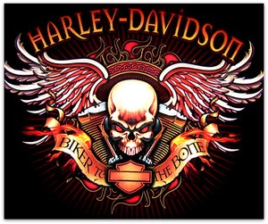 Harley Davidson Bad Biker To The Bone Skull Wings Fleece Blanket Throw 50x60 Ebay