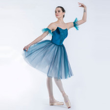 Blue Camisole Velvet Bodice Layers of Soft Tulle Ballet Tutu Performance Wear