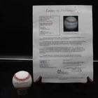 Ted Williams Signed Rawlings OAL Baseball Red Sox Autograph JSA LOA ZJ22904
