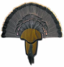 Hunters Specialties Strut Turkey Tail & Beard Mounting Kit - Durable E