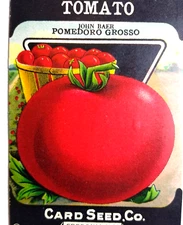 Tomato John Baer Pomedoro Grosso Card Seed Co EMPTY Pack 1920's Fredonia NY