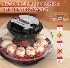 12-24Egg Incubator for Hatching Automatic Turning Temperature and Humidity Cont