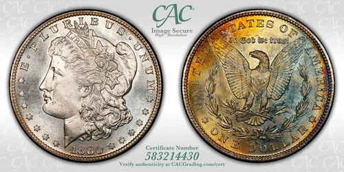 1880-S $1 Morgan Silver Dollar CACG MS64, Amazing Toning