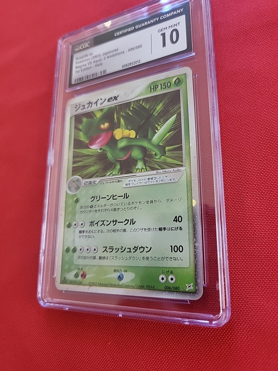 Picture 11 of 24