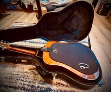 Protective Back Guards for Guitars Electric and Acoustic Guitars