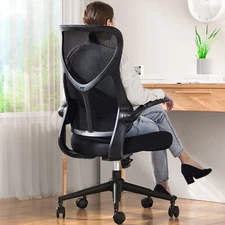 Mesh Ergonomic Chair without Headrest, Pillowized Cushioned Office Chair