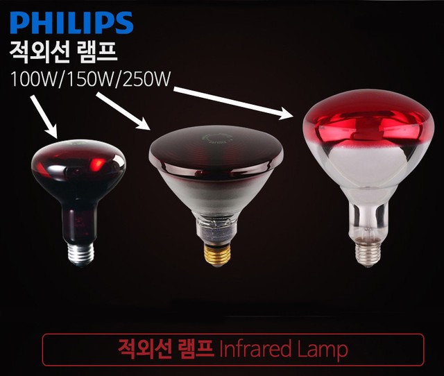 Ampoule LED Infrarouge Philips E27 150W - 121x136 Mm - 230V - Neuve
