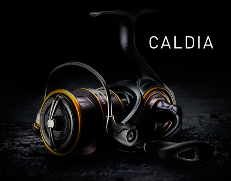 Daiwa Spinning Fishing Reel 