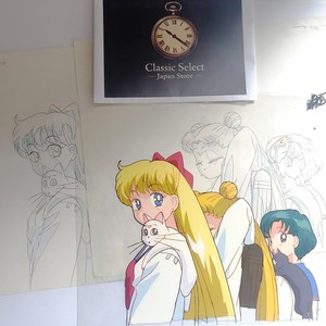 Sailor Moon Cels | eBay