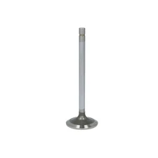 ✅ FP DIESEL INTAKE VALVE R84618-FP NEW DE STOCK