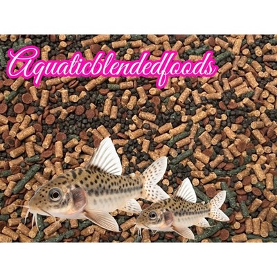 Cory Catfish Small Bottom Feeder Food Mix Shrimp/Bug Wafers Pleco Loaches ABF446