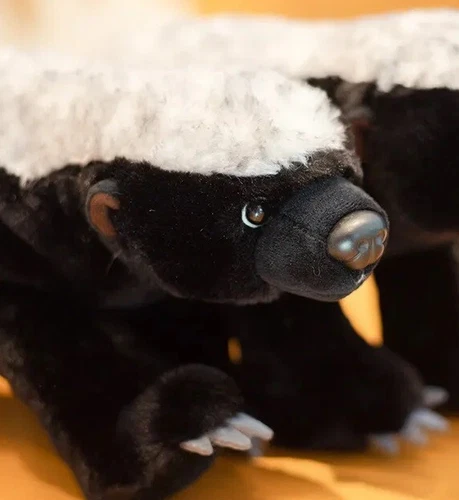 Honey Badger Ratel 15 Inch Stuffed Animal Plush Toys Toddler Doll Kids Gifts - Picture 5 of 5