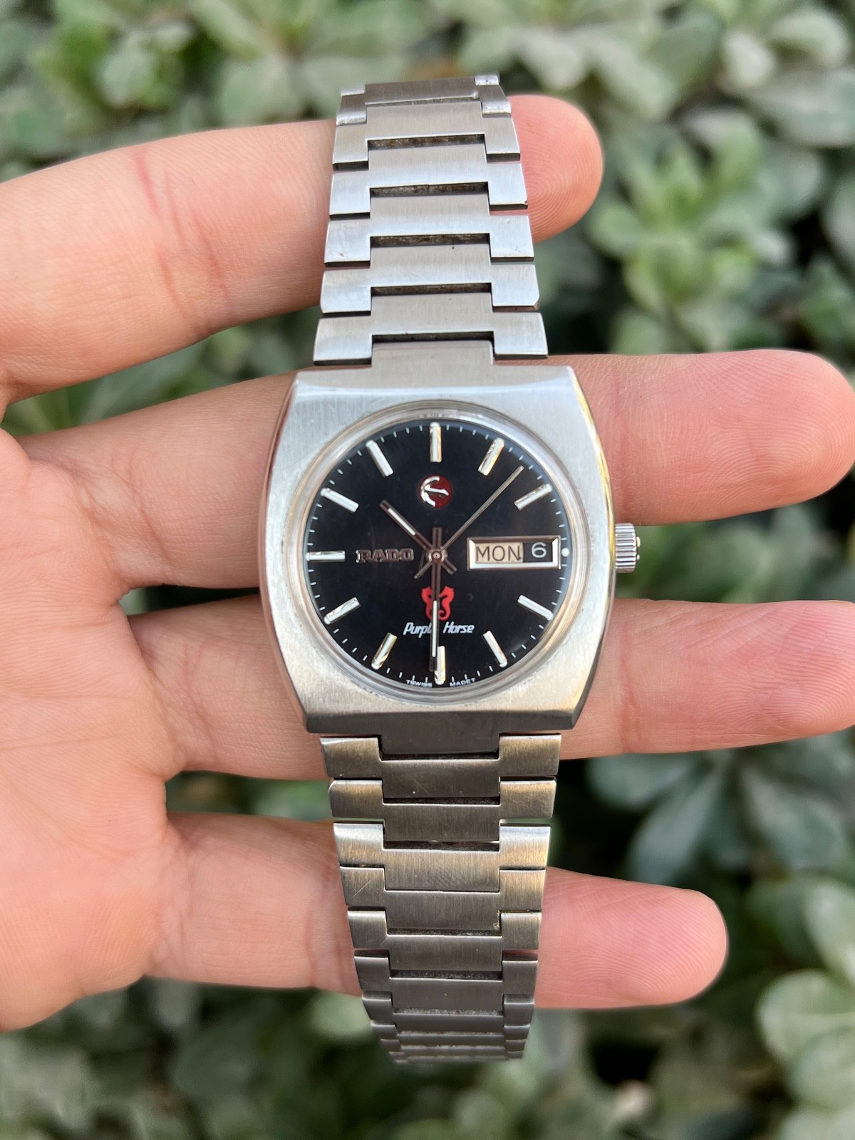 Horse Vitage Purple Rado - VintageWatches.PK Horse Vitage Purple Rado - vintagewatches.pk