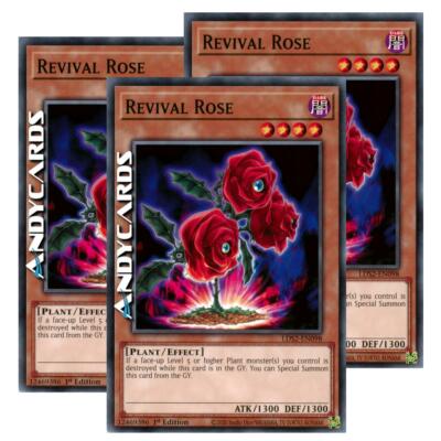 3x REVIVAL ROSE (Rose der Wiedergeburt)   Common   LDS2 EN098   YUGIOH ANDYCARDS
