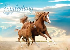 Einladungskarten Kindergeburtstag Pferd Fohlen Mädchen/schöne und bunte Karten