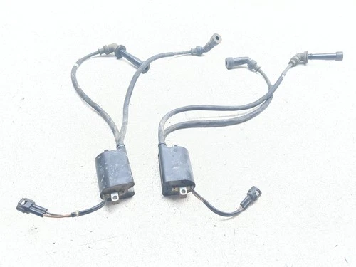 COIL ASSY, IGNITION