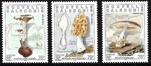 New Caledonia - Native Edible Mushrooms Set MNH 1998 Mi. 1122-1124