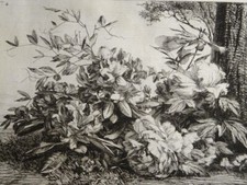 JULES JACQUEMART (1837-1880) ENGRAVING EAU FORTE FLOWERS LANDSCAPE PEONIES 1870