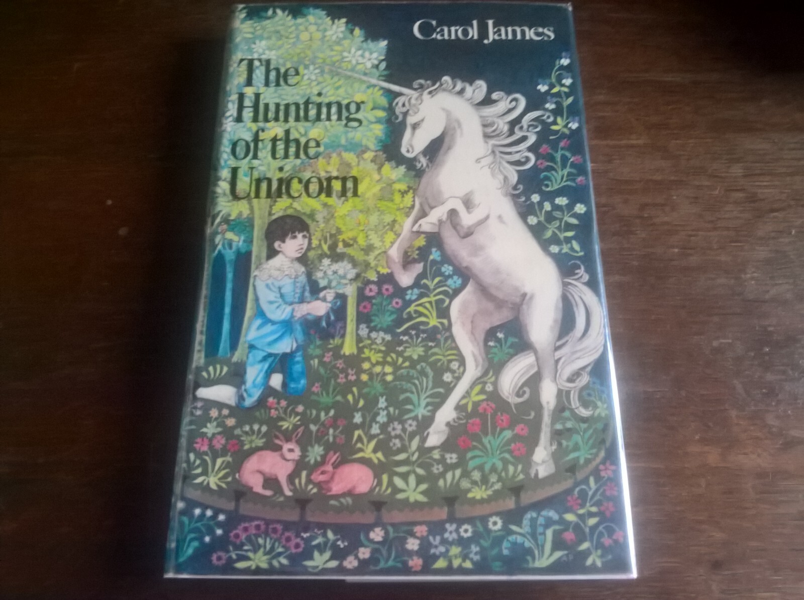 The Hunting of the Unicorn by Carol James 1st Edn hb dj children's fiction