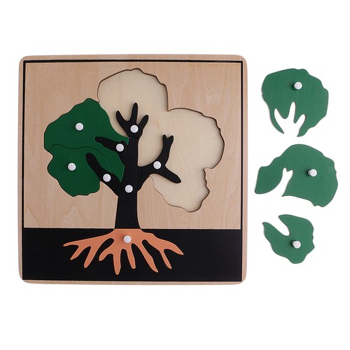 Materiale Botanico Montessori - 3 Puzzle A Forma Di Pianta Per Giocattoli - Foto 10 di 12
