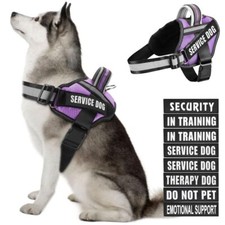 Dog Vest Harness and Patches Set in Training Service Dog Harness with 10 Dog ...