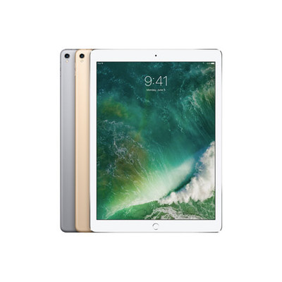 Apple iPad Pro 12.9'' 2nd Gen 256GB (Wi-Fi) | Space Gray | Very Good