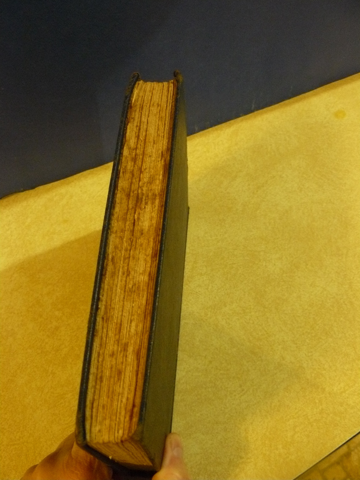 Picture 5 of 7