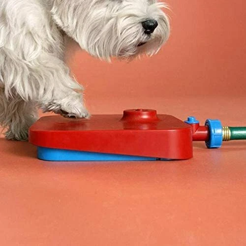 CLEARANCE ITEM - Quirky Pawcet Doggy Drinking Fountain - Dog Drinking fountain - Picture 2 of 3