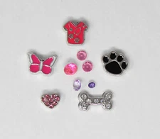 Set 5 Vet Veterinarian: Living Memory Locket Floating Charms: Scrubs Paw Bone 