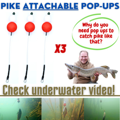 Hecht POP UPS für HECHT RIGS - Fangen Sie mehr Hecht und SEHEN SIE SICH DAS VIDEO IN BESCHREIBUNG AN
