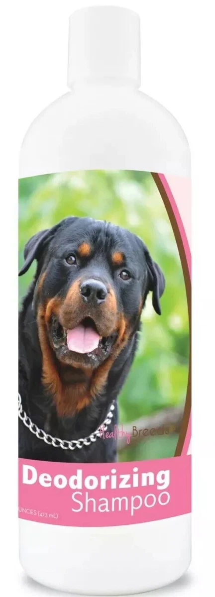 Rottweiler hypoallergenic cheap