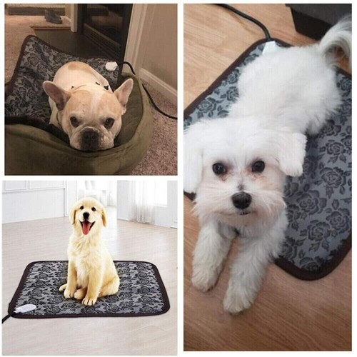 Almohadilla térmica ajustable para gato perro mascota calentador eléctrico cama impermeable - Imagen 12 de 16
