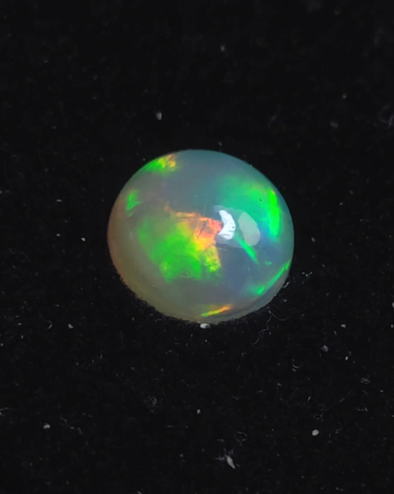 Opale Welo blanche en cabochon rond 1.36 cts pour remplacer une gemme perdue ou sertissage raté