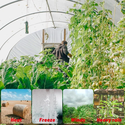 Farm Garden Transparent Plastic Poly Film Clear Greenhouse Film Plastic Sheeting - Picture 2 of 27