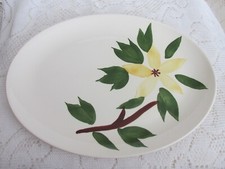 Vintage Stetson Golden Jasmine Hand Painted Serving Platter