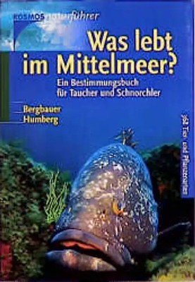 Was lebt im Mittelmeer?