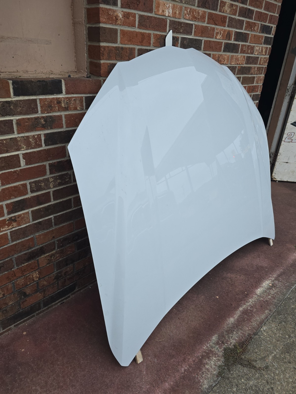 2019 - 2023 LAMBORGHINI URUS HOOD  4ML010515A INSURANCE QUALITY OEM PERFECT 