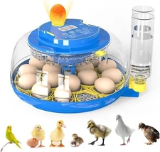 Incubators for Hatching Eggs,18 Egg Incubator with Automatic Egg Turning and ...