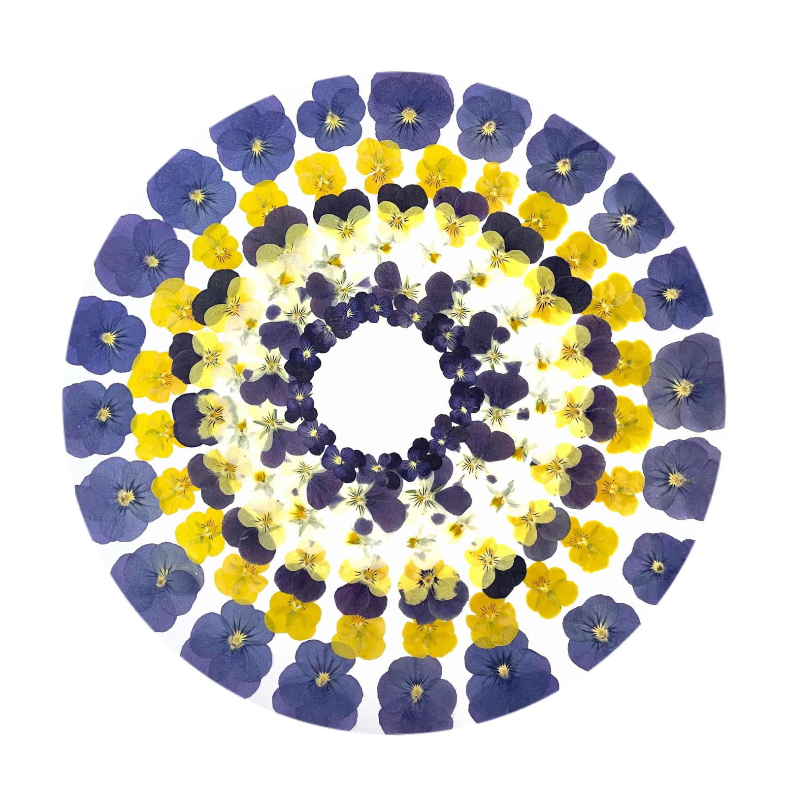 72PCS Dried Flowers for Resin Crafts, Bookmarks, Wedding Scrapbooking & DIY Projects