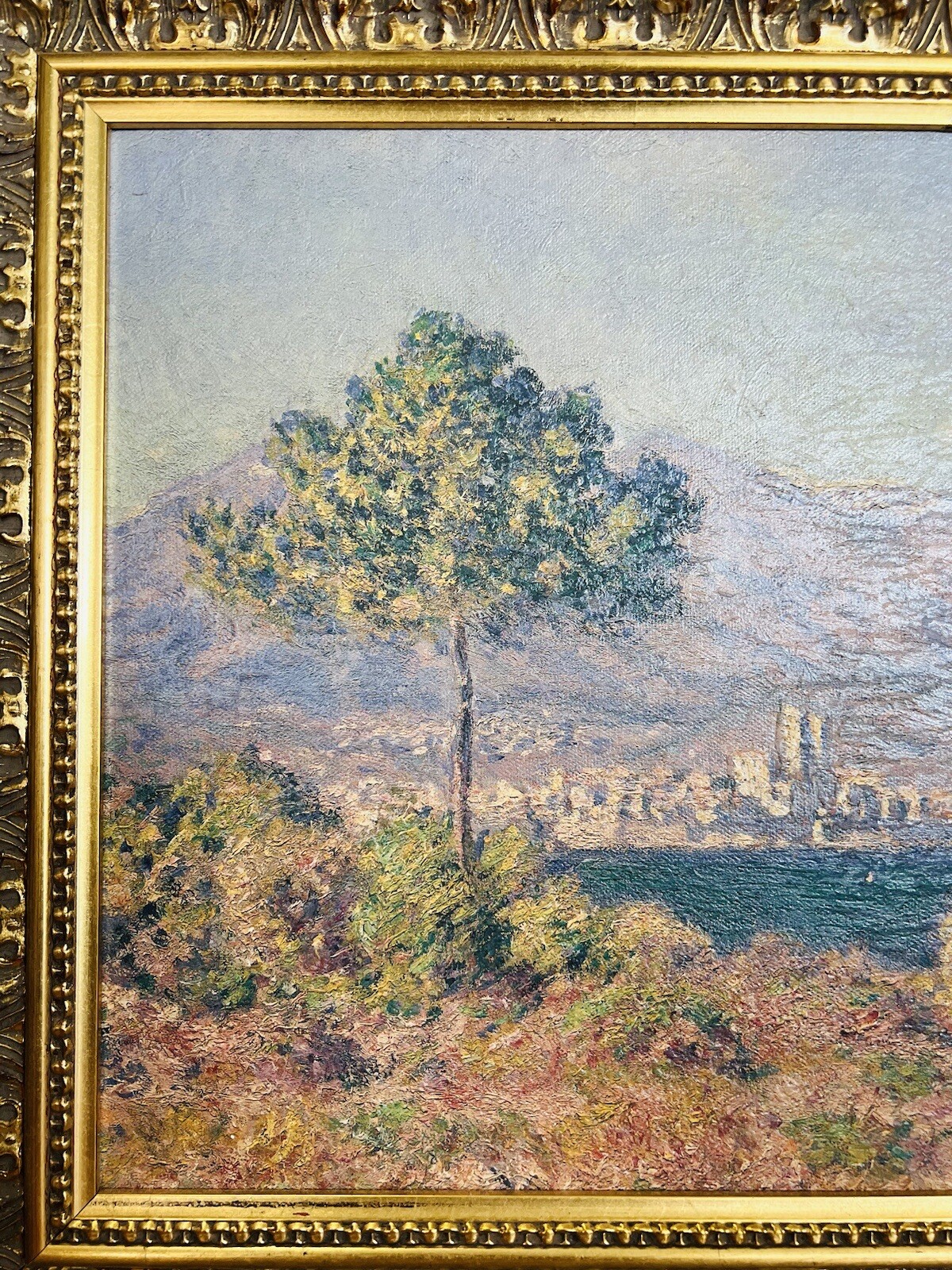 Picture 3 of 11