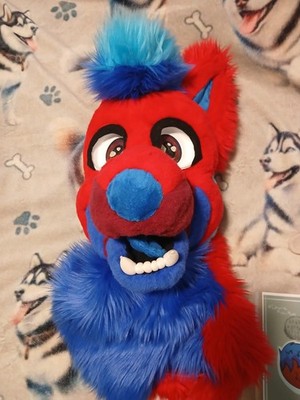 Mixed Red/Blue Coyote Fursuit Head